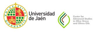 Logotipos